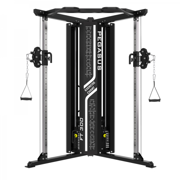  Pegasus Functional Trainer FT-300 -5422